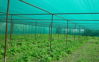 Smart Netting Pune 